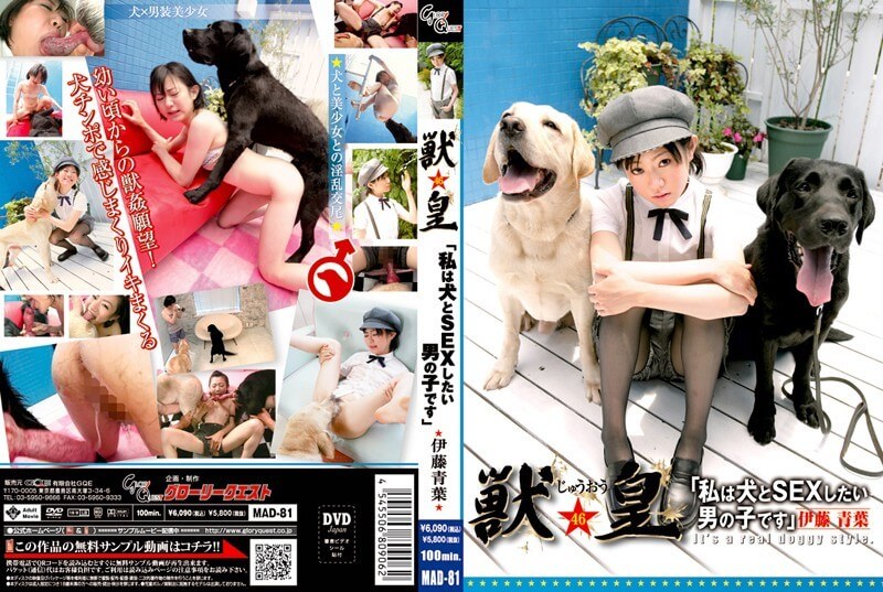 Japanese Dog Mom Sex - Japanese Dog Sex Movie | Sex Pictures Pass